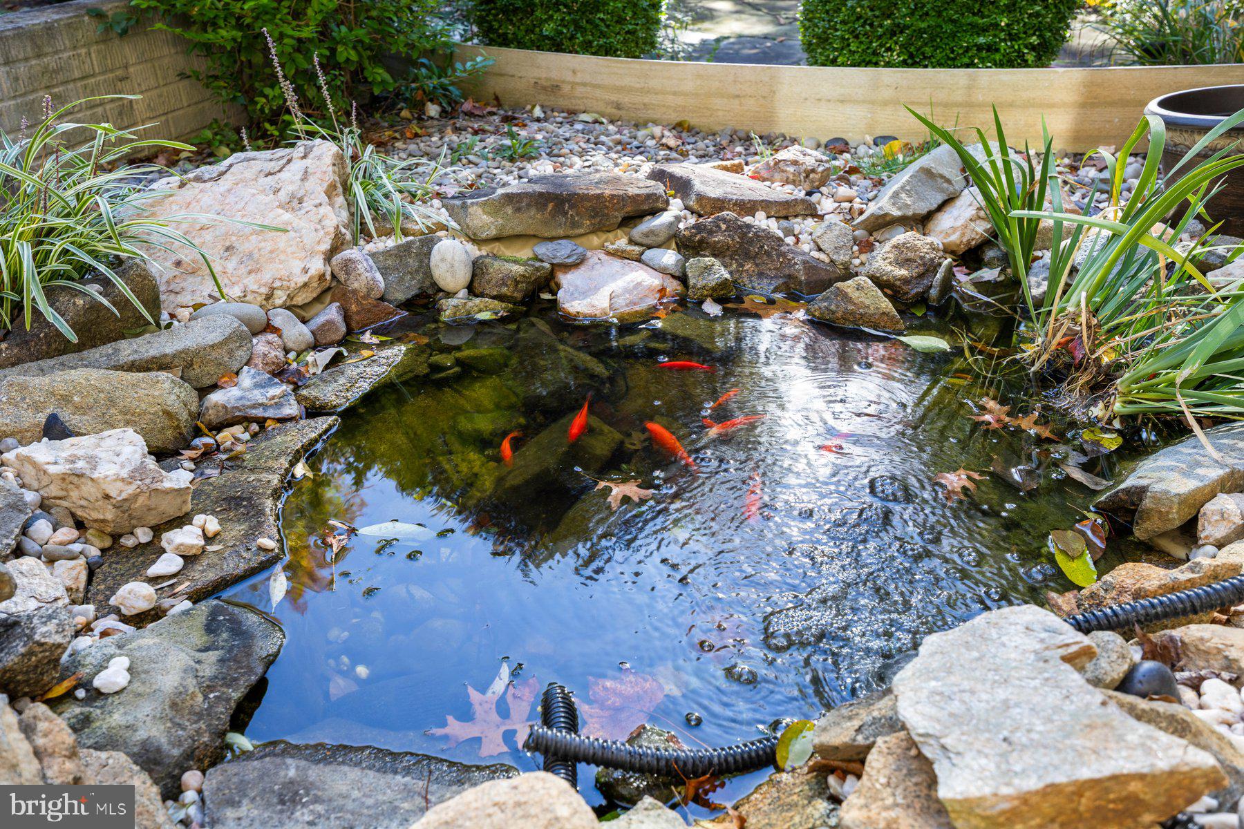 WOODS AT SPRINGHOUSE STATION - Residential