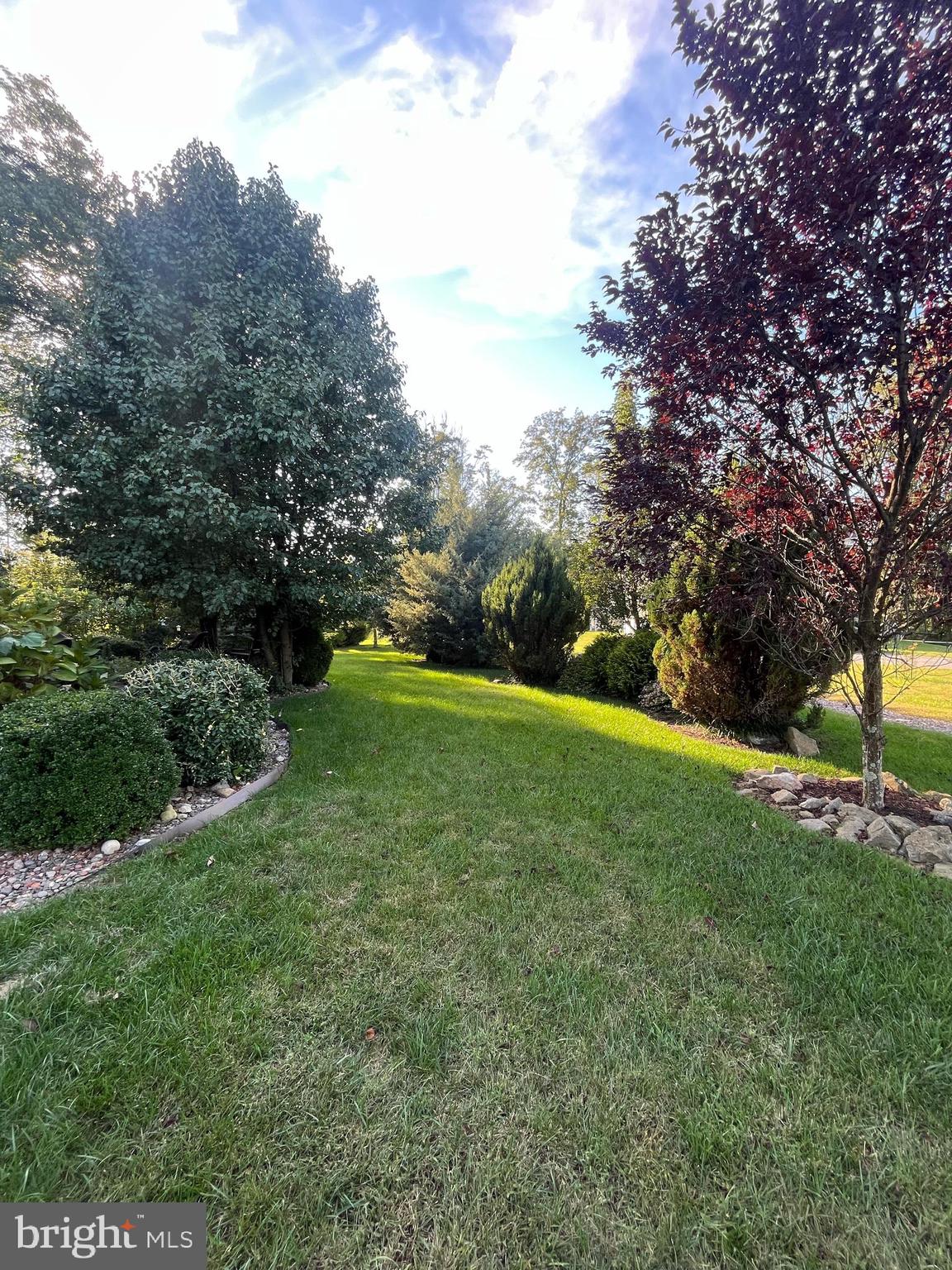 84 CLEMATIS WAY