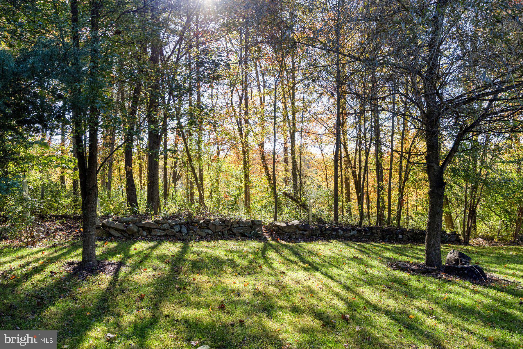 WOODS AT SPRINGHOUSE STATION - Residential