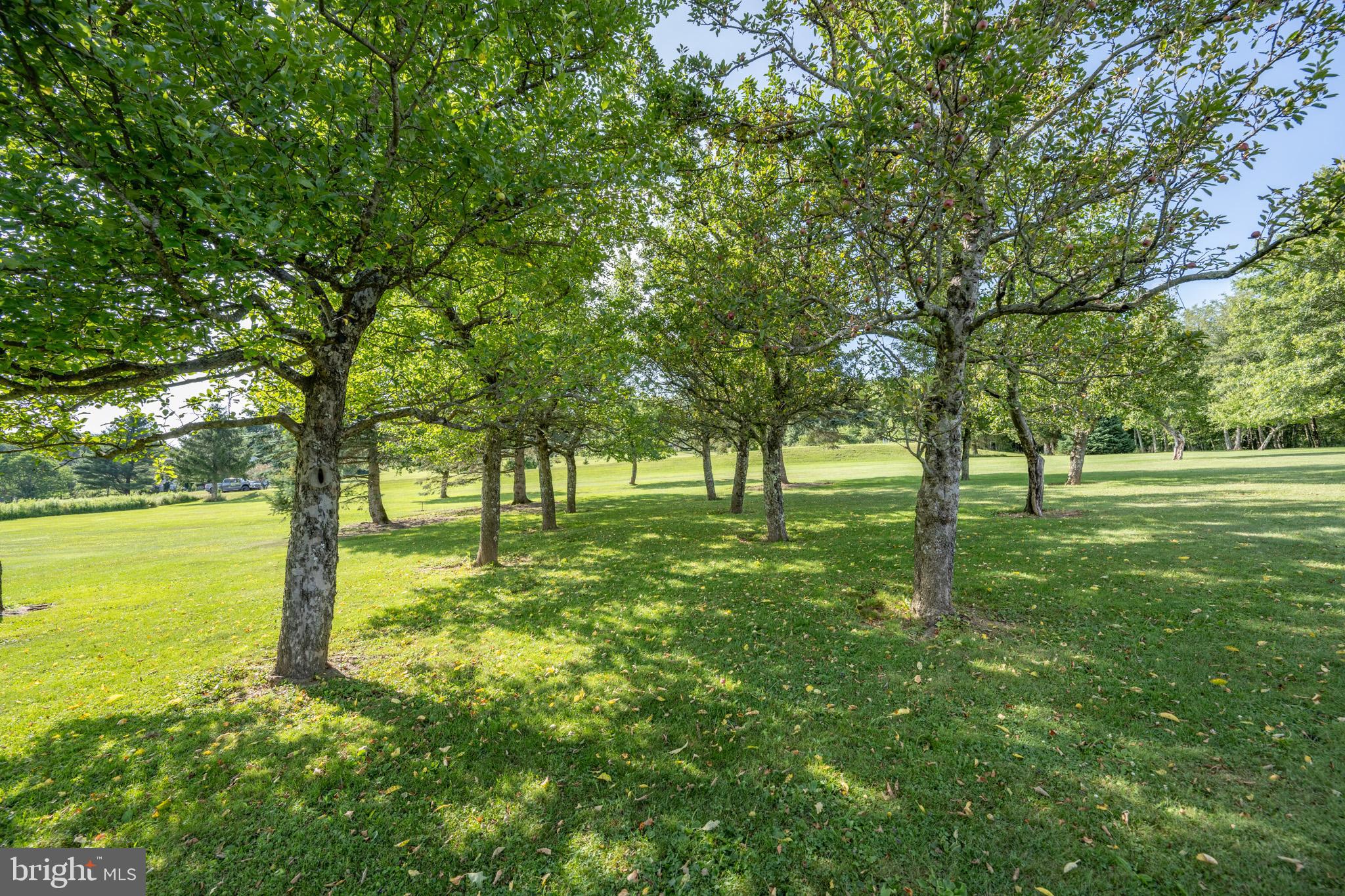 OAKLAND - Residential