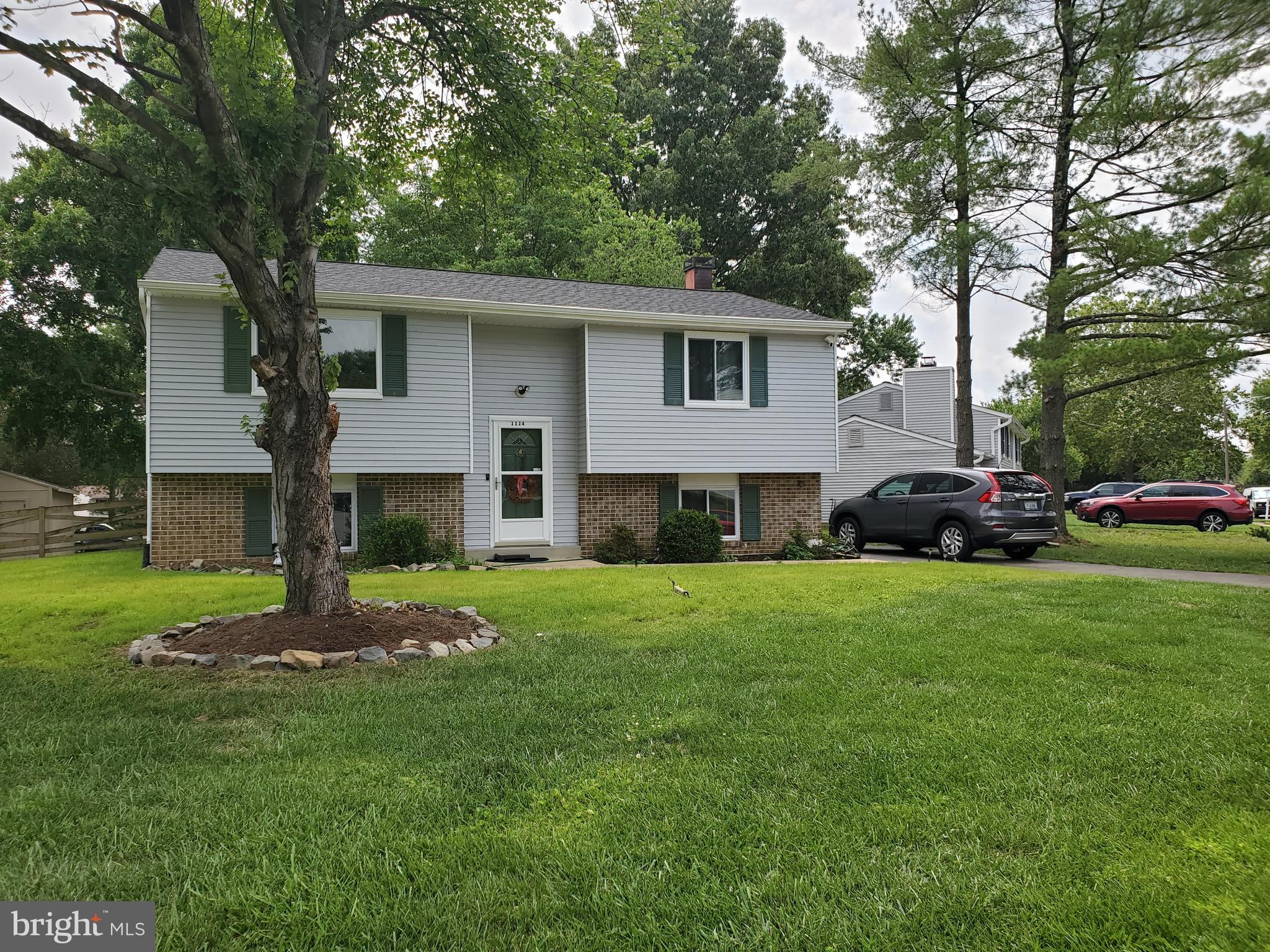 1114 CLARKE STREET (BASEMENT SUITE)