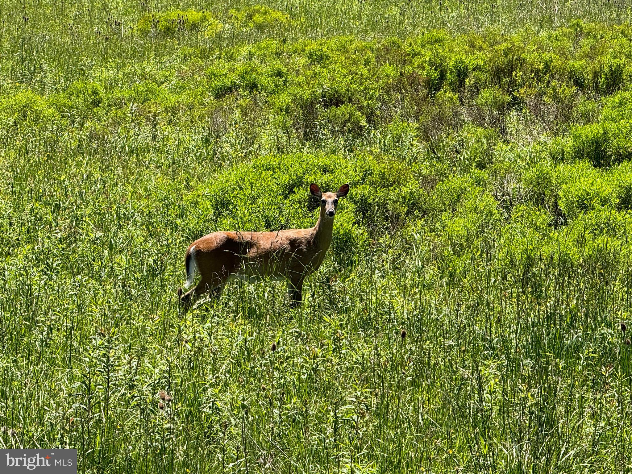 WINDWOOD FLY IN RESORT - Land