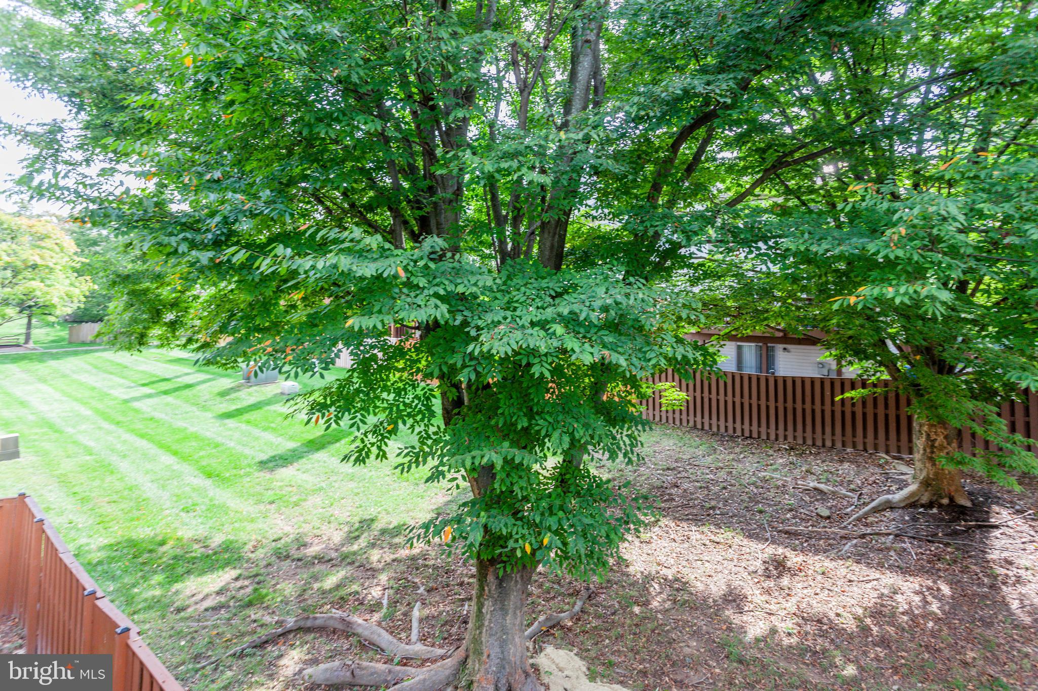 ENGLEWOOD MEWS - Residential