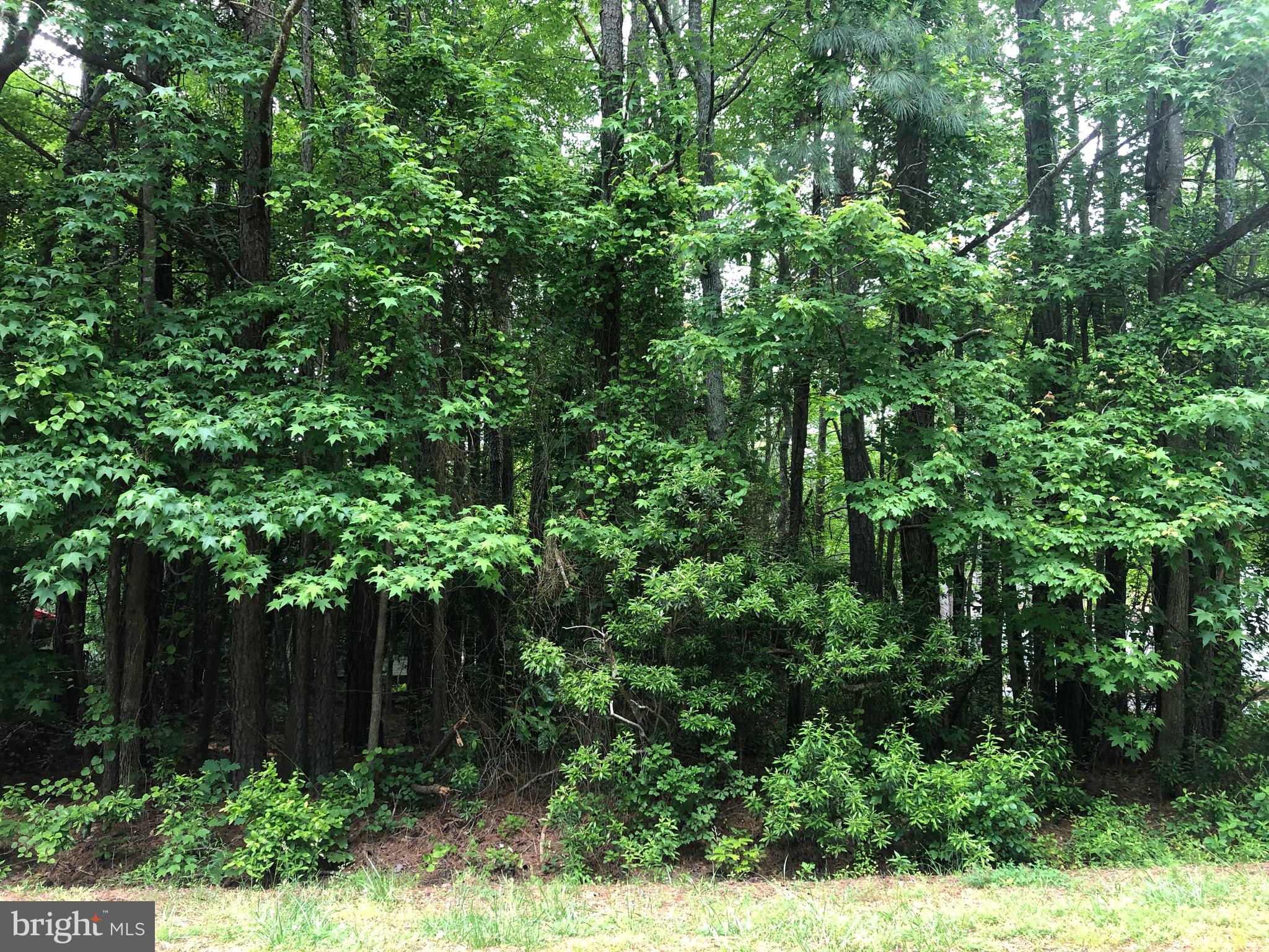 OCEAN PINES - SHERWOOD FOREST - Land