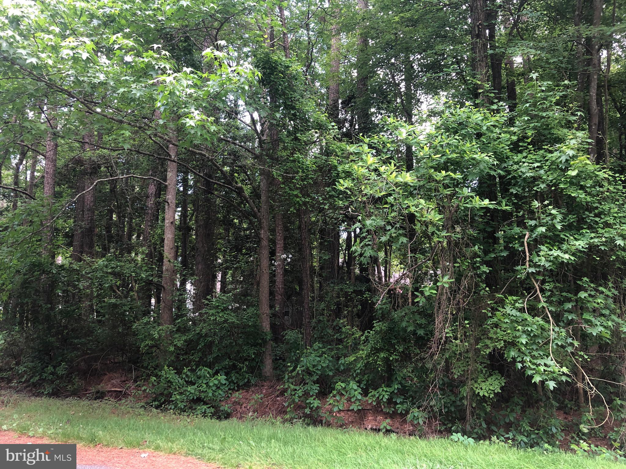 OCEAN PINES - SHERWOOD FOREST - Land