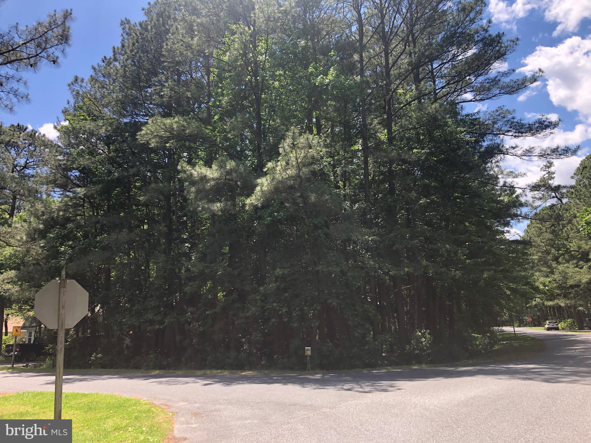 OCEAN PINES - SHERWOOD FOREST - Land