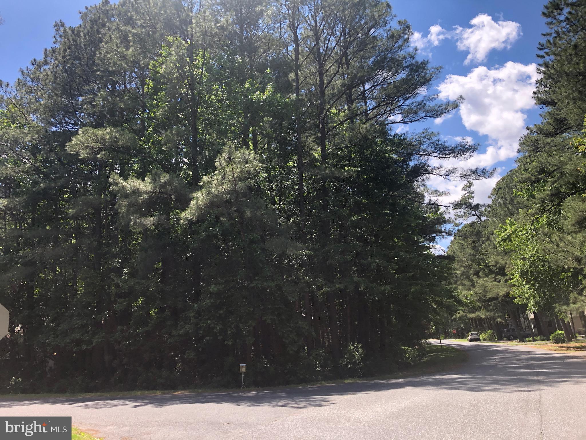 OCEAN PINES - SHERWOOD FOREST - Land