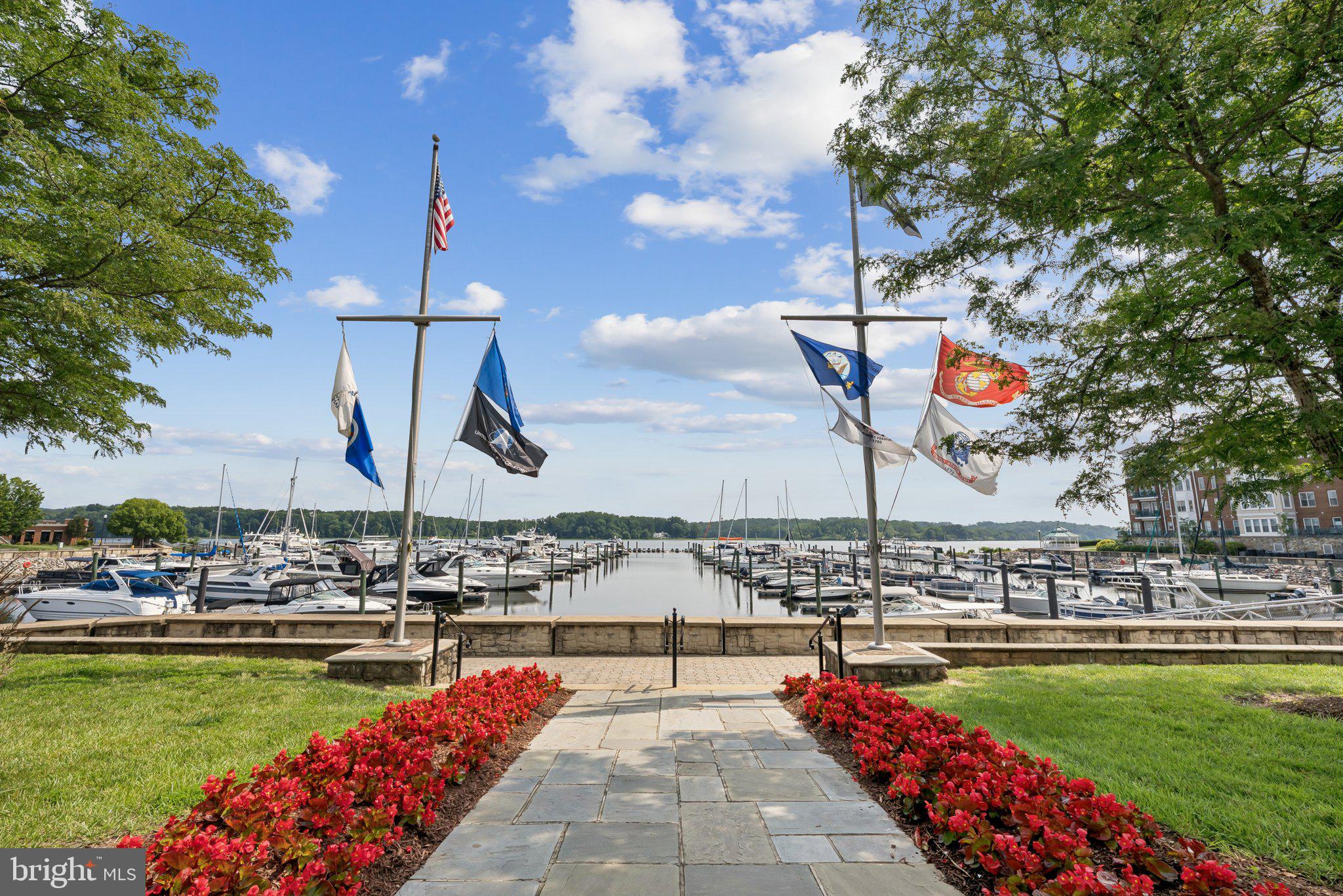 HARBOR POINT EAST CONDO - Residential