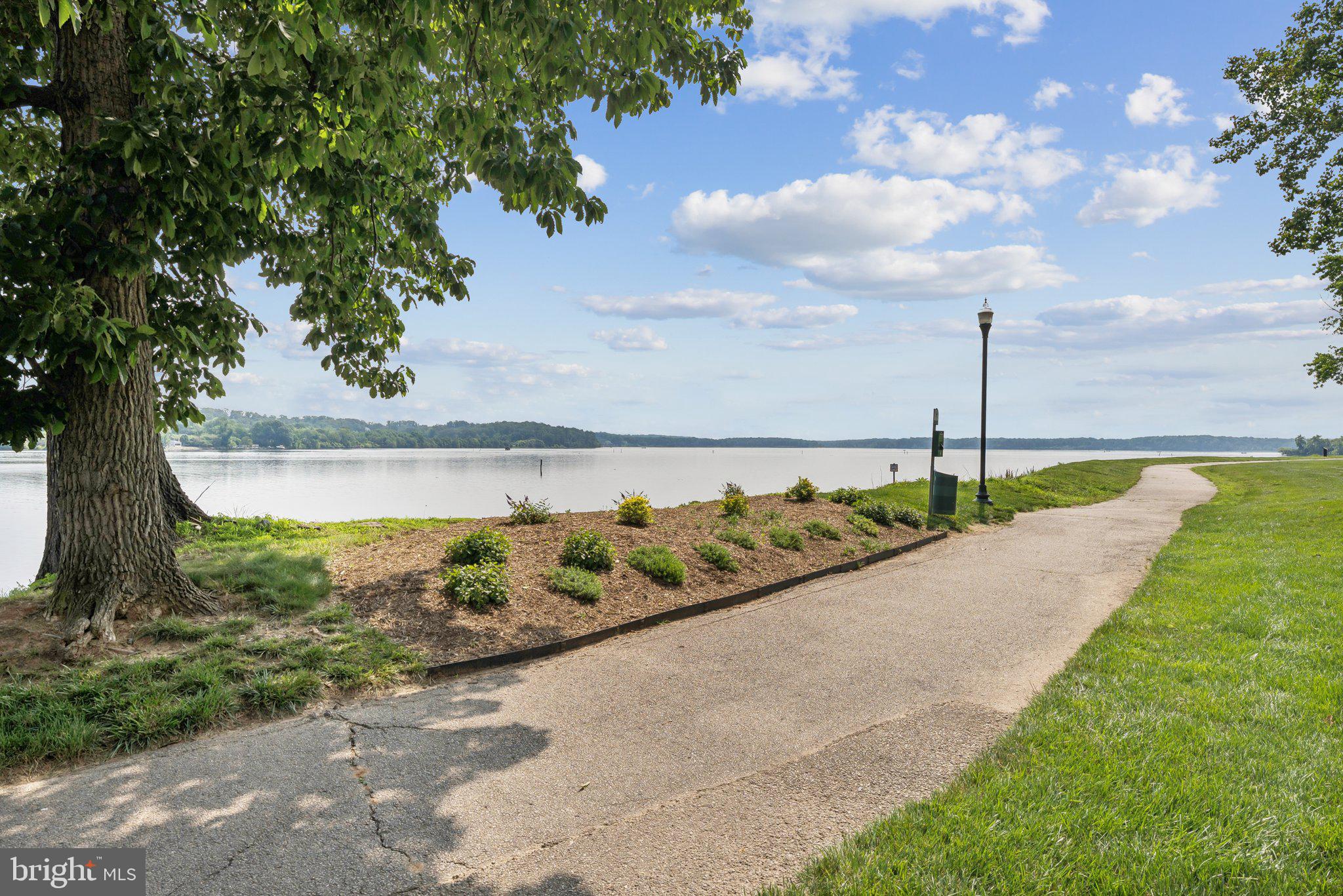 HARBOR POINT EAST CONDO - Residential