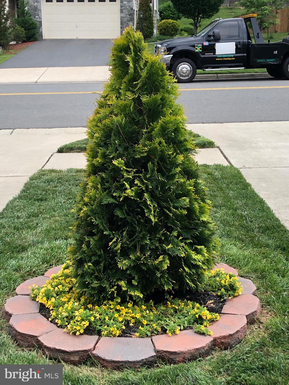 WOODSTREAM - Residential