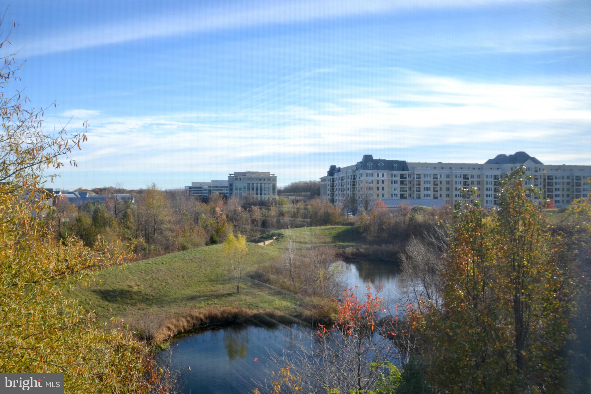 KING FARM IRVINGTON - Residential