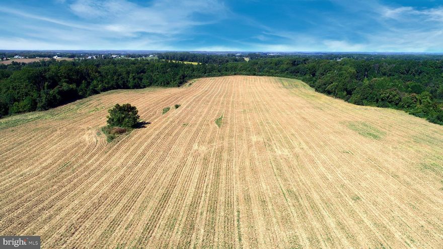 Great opportunity to purchase a type of property that rarely comes available in Harford County. Property has tremendous potential including possible subdivision, continue to farm and place in Ag preservation, hunting, recreation and explore the many allowed uses via special exception in Harford County. Property previously had approval for 30 lots and per approval letter dated 12/18/13 contains 22 building rights (please confirm development rights and possible uses with Harford County Government). Property has approx. 92 tillable acres. There are numerous outbuildings and an old house that are of no value, please do not enter any of the buildings. Great location with easy access to I-95, Havre de Grace and all the upper Chesapeake Bay region has to offer.