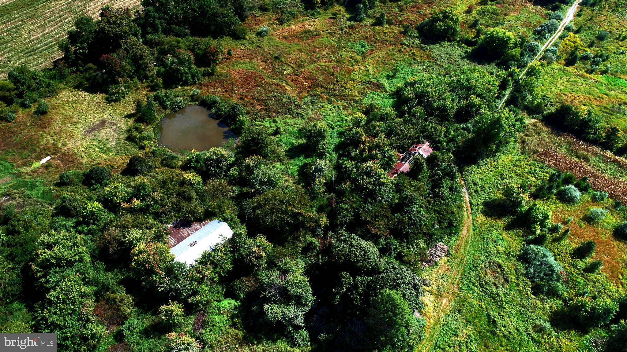 HAVRE DE GRACE HEIGHTS - Farm