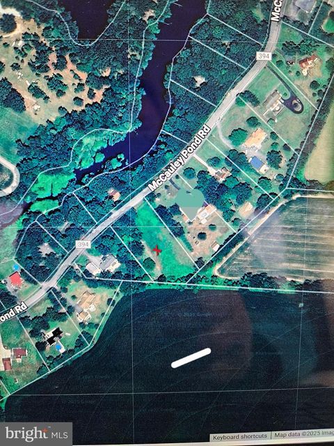 Lot 8 MCCAULEY POND ROAD HARRINGTON DE 19952
