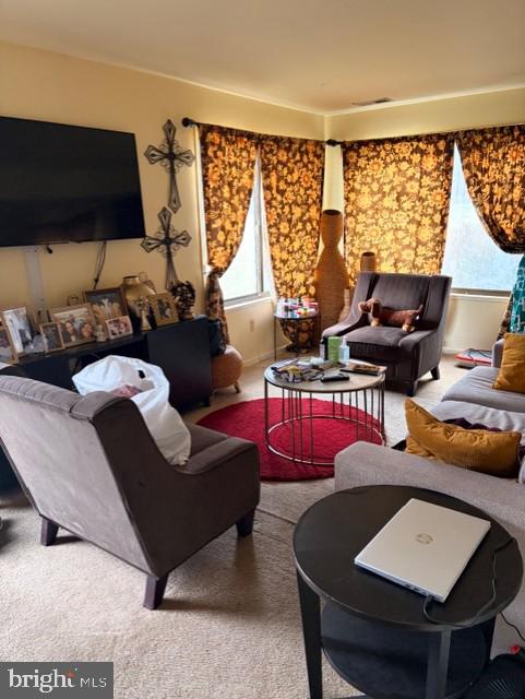 CINNAMON RIDGE - Residential