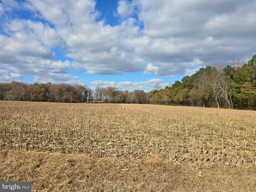 If you have been waiting for the 'spot' to build your country retreat with some acreage, this could be it. Almost 11 acres cleared with an approved 'perc', located just outside of Willards. Fronting on Richardson Road & Poplar Neck Road, it is just minutes from Salisbury, Ocean City, Fenwick Island, Assateague, and Lower Delaware. Having no HOA or builder tie-ins, makes this a 'blank slate' for your ultimate country retreat! Adjacent 4.74 acres also available!