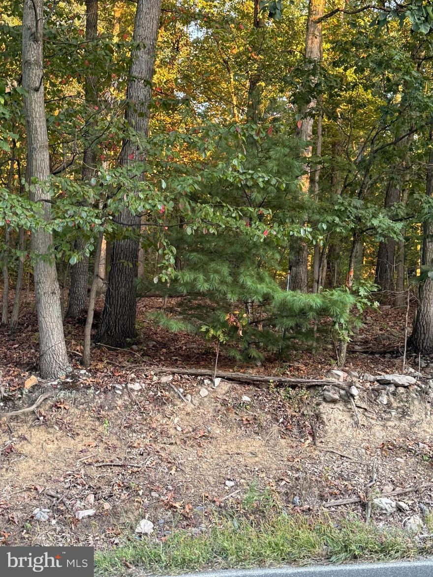 Raw Land.  Mostly wooded 6.56 acre Lot.