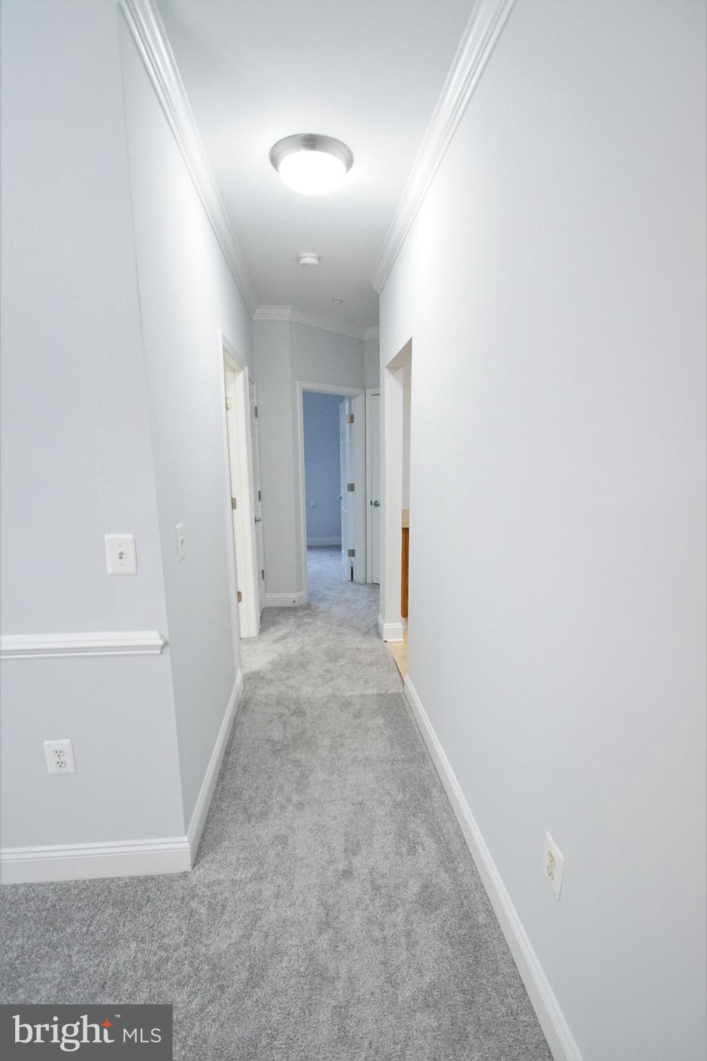 MONMOUTH MEADOWS - Residential