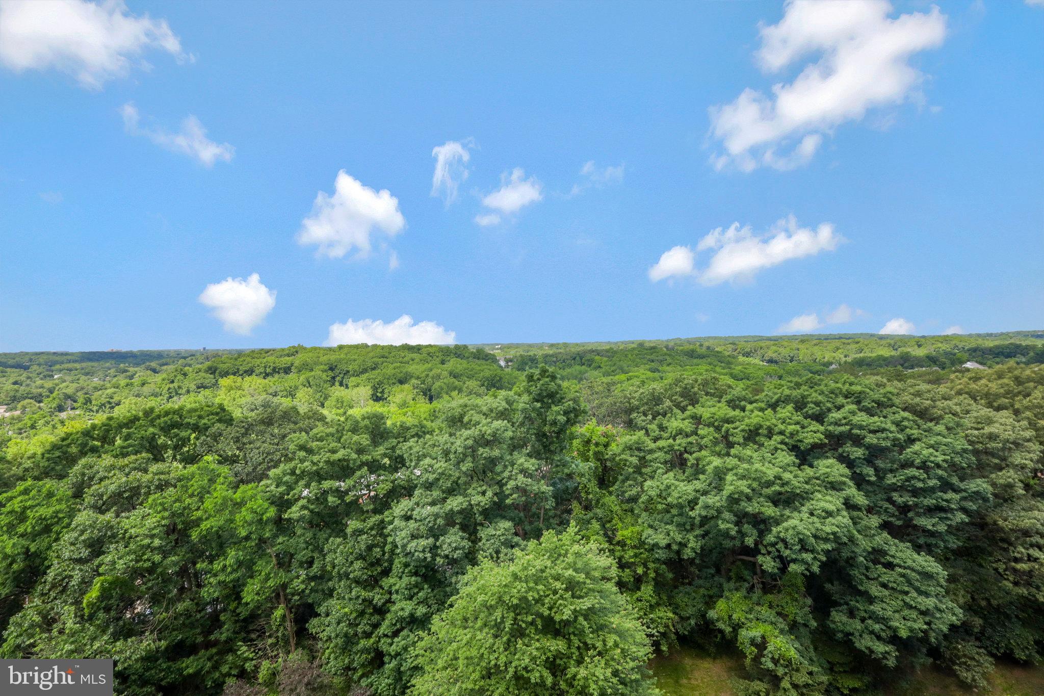 WATERGATE AT LANDMARK - Residential