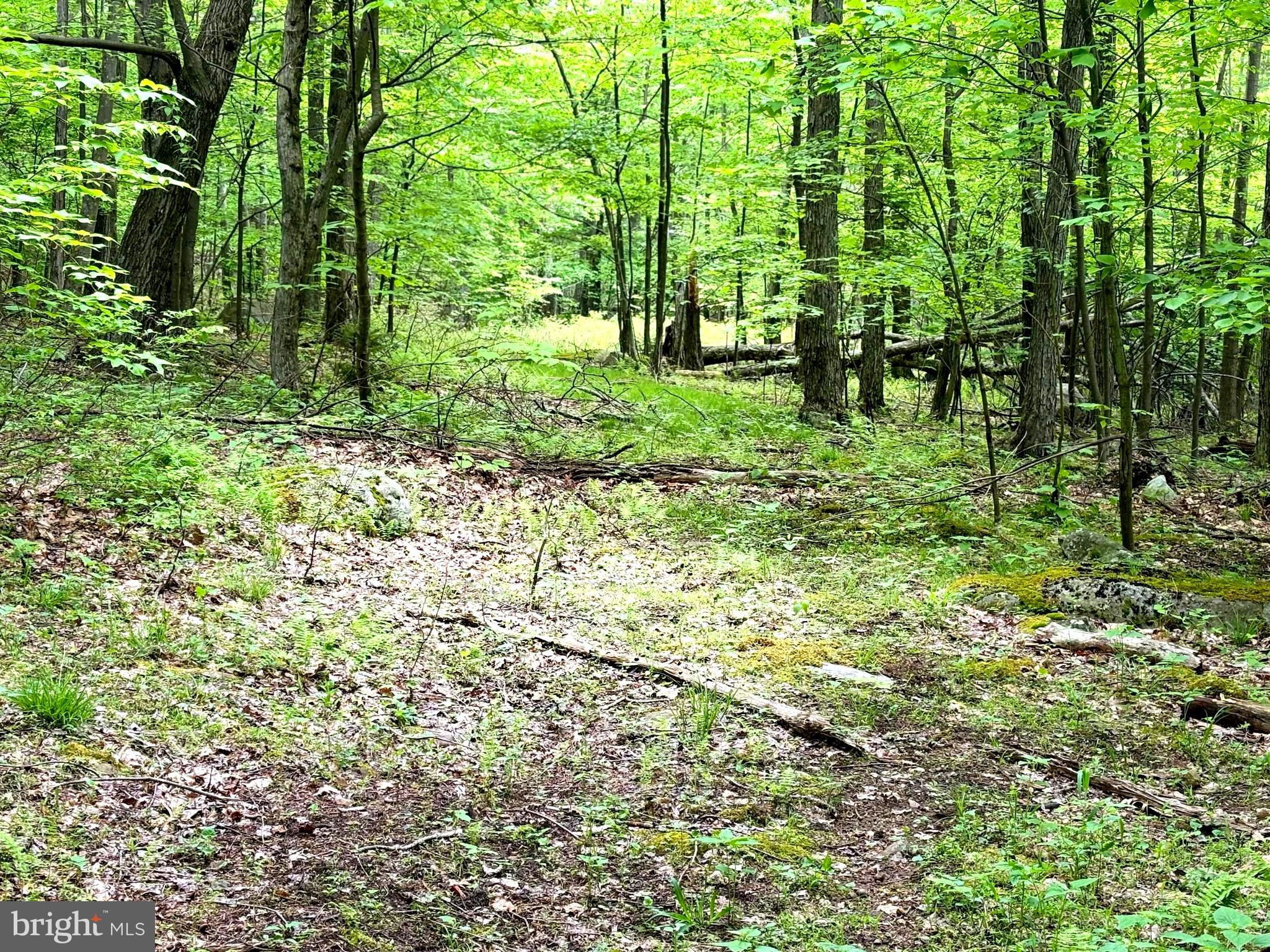 RETREAT AT DOLLY SODS - Land