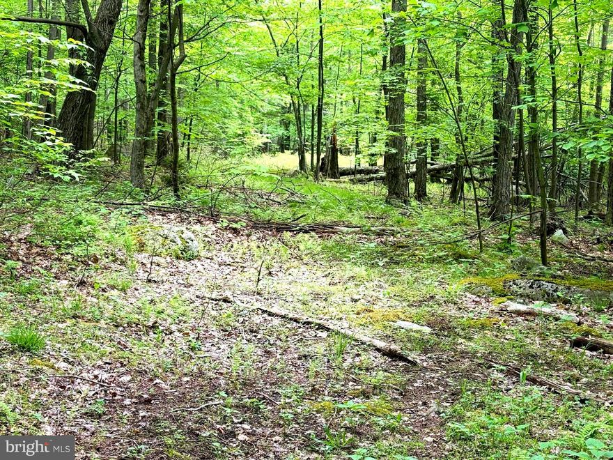 LAST CHANCE, PLEASE DO YOURSELF A FAVOR AND TAKE ADVANTAGE OF ACREAGE ADJOINING 17,371 OF FEDERALLY OWNED LAND PRESERVED FOR YOUR RECREATION & ENJOYMENT. INCLUDES 2000 ACRES OF DOLLY SODS SCENIC AREA IN THE MONONGAHELA NATIONAL FOREST. ABUNDANT WILDLIFE AND NEARBY OVER 500 MILES OF TROUT STREAM, WHITE WATER KAYAKING & SNOW SKIING. EXCELLENT HUNTING FOR BIG AND SMALL GAME. WALK TO THE SCENIC OVERLOOK OF BEAR ROCKS WITHIN HIKING DISTANCE TO SEEDED GAME TRAILS. LOOK AS FAR AS YOUR SIGHT WILL ALLOW WITH YOUR HEAD IN THE CLOUDS AND YOUR FEET ON THE GROUND. CLOSE TO 4700 FT ABOVE SEA LEVEL FOR A COOL SUMMER NIGHT, THE PROPERTY IS PERKED & SURVEYED WITH UNDERGROUND ELECTRICITY. TAKE A HIKE WITH ME. ONE OF A KIND