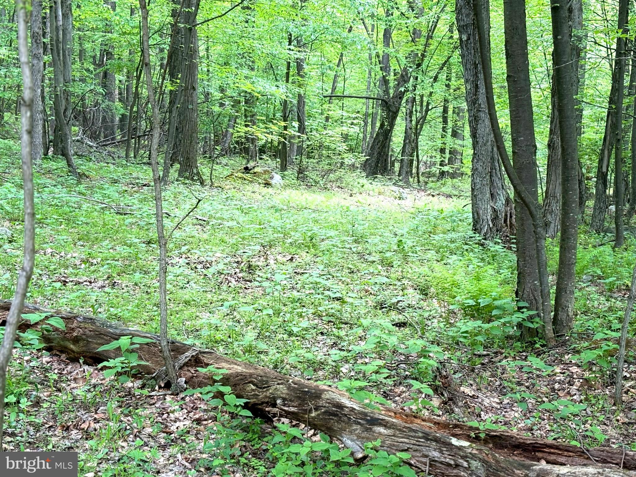 RETREAT AT DOLLY SODS - Land