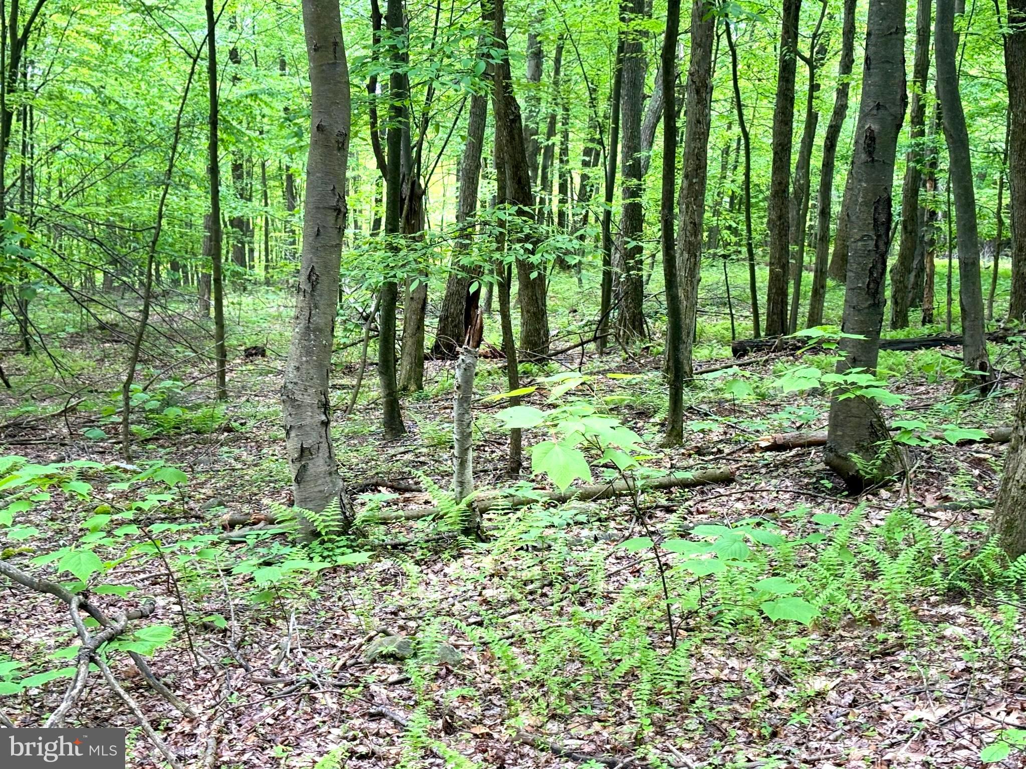 RETREAT AT DOLLY SODS - Land