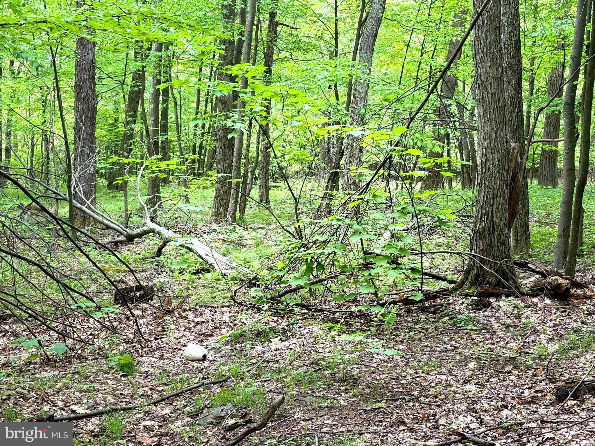 RETREAT AT DOLLY SODS - Land