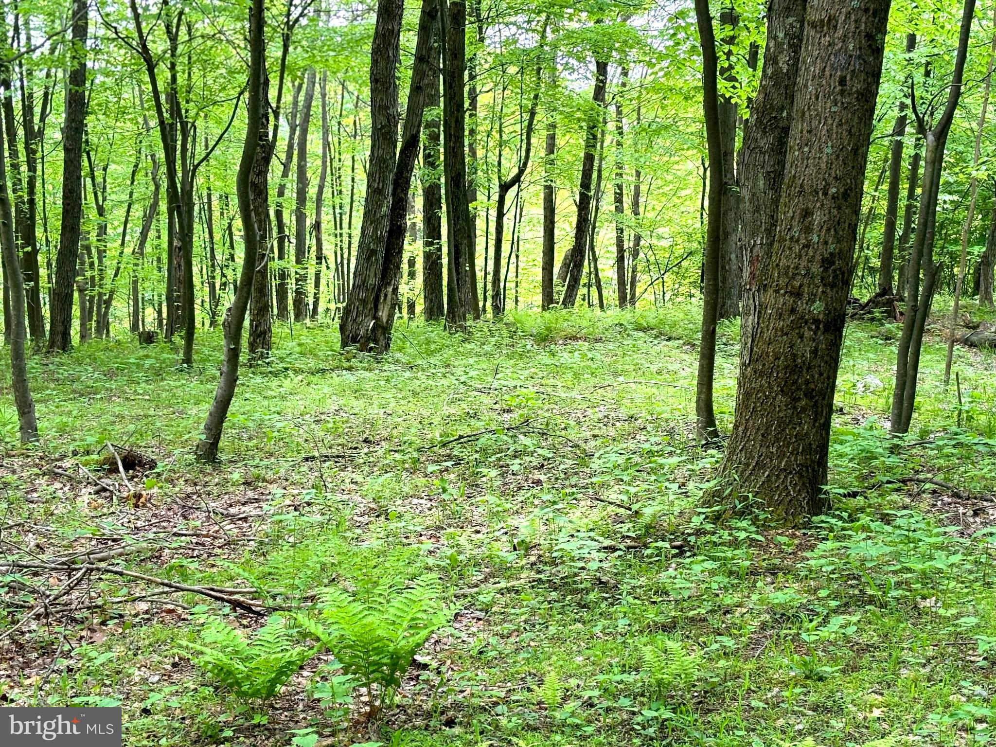 RETREAT AT DOLLY SODS - Land