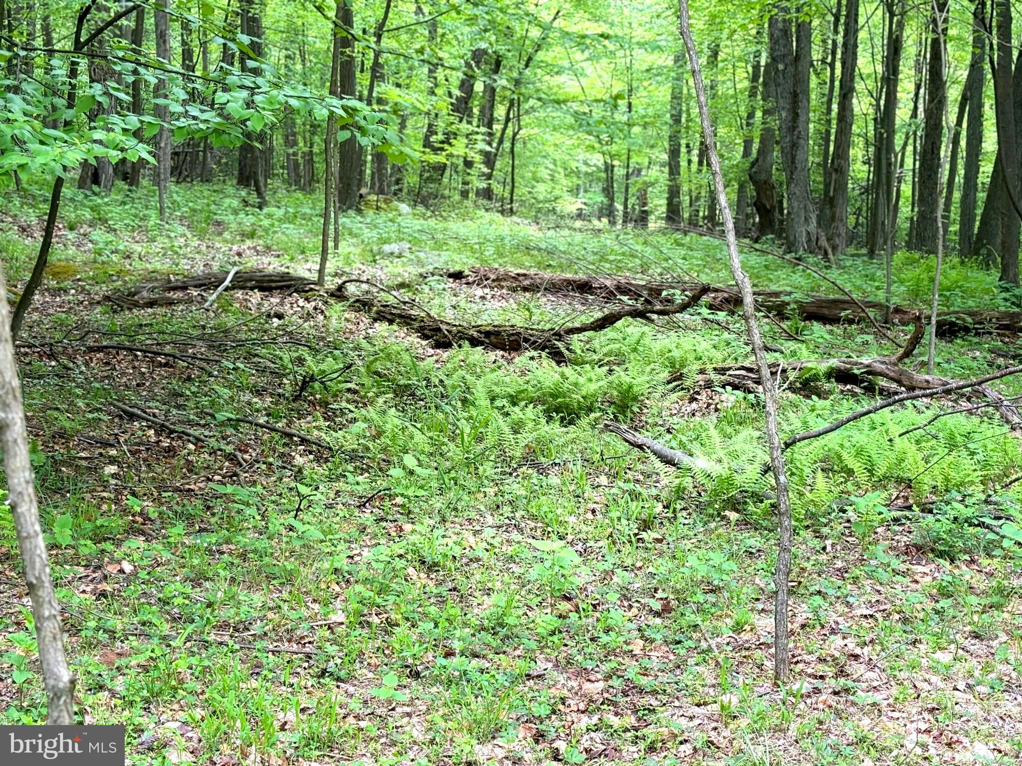 RETREAT AT DOLLY SODS - Land
