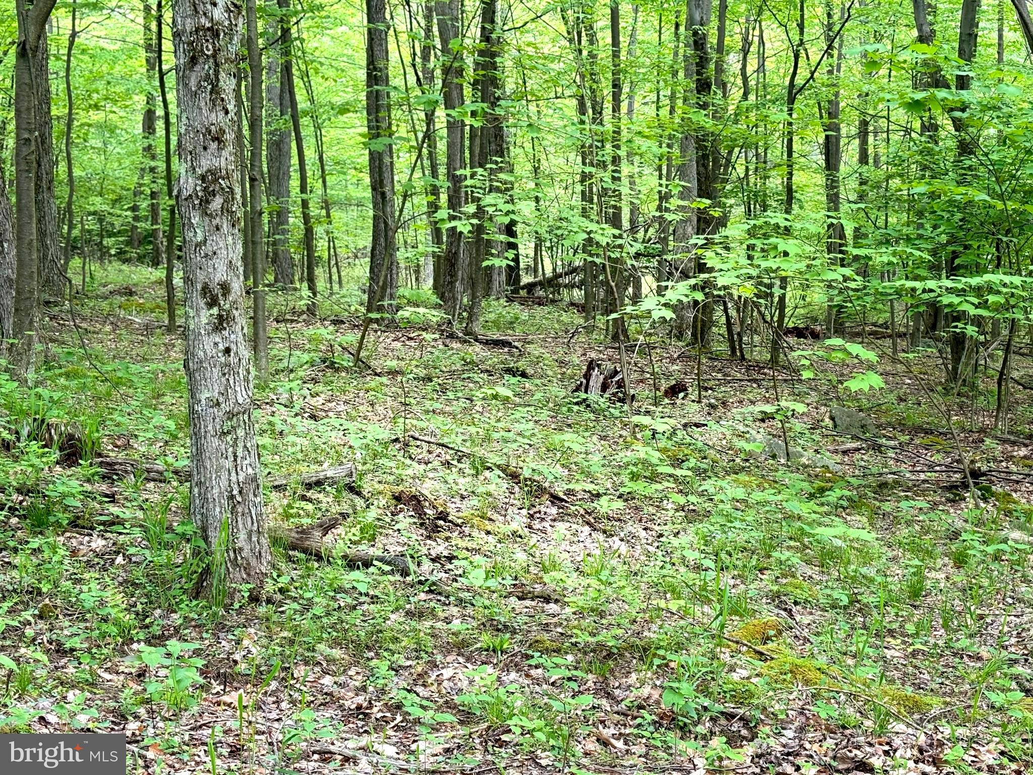 RETREAT AT DOLLY SODS - Land
