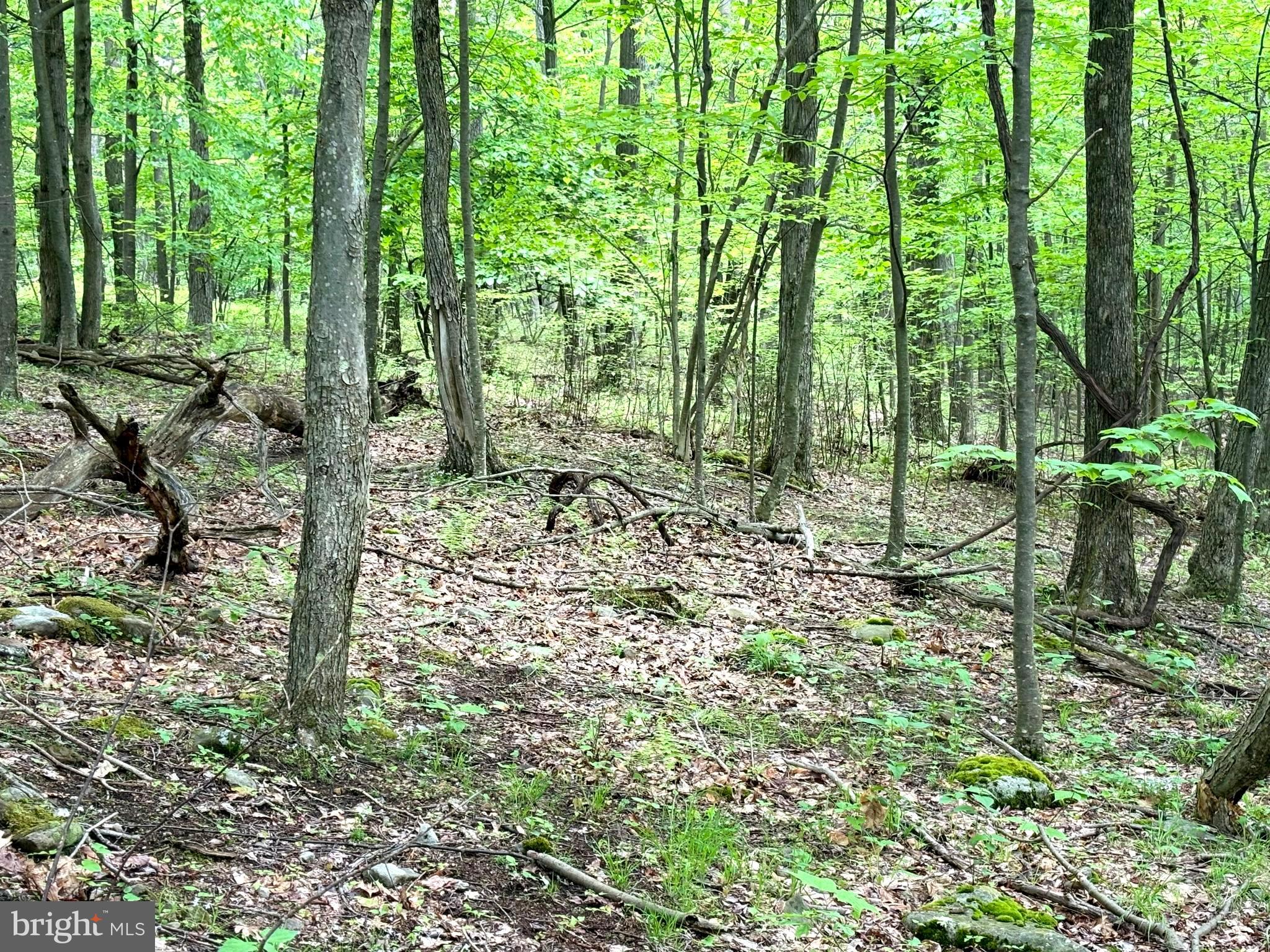 RETREAT AT DOLLY SODS - Land