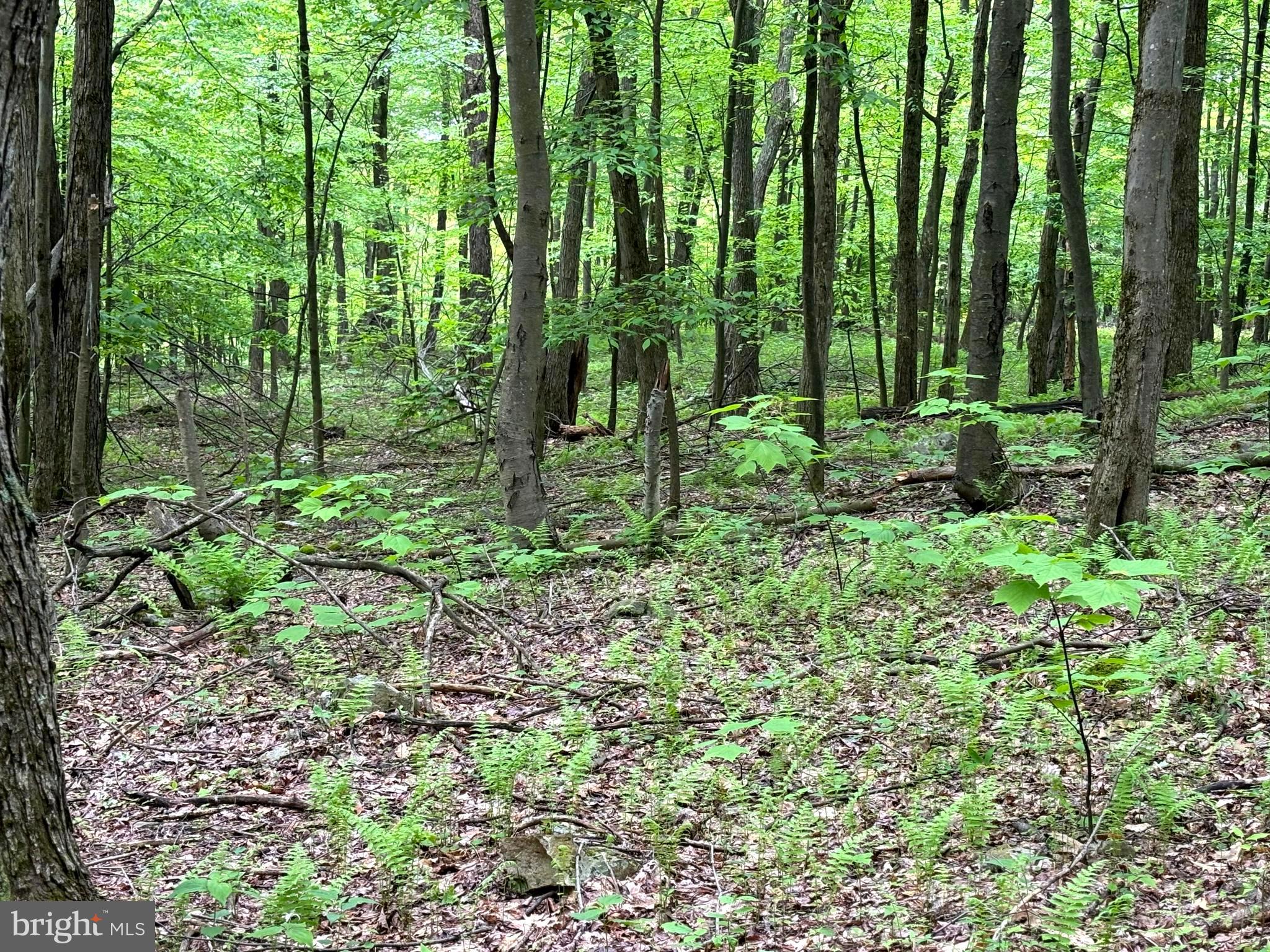 RETREAT AT DOLLY SODS - Land