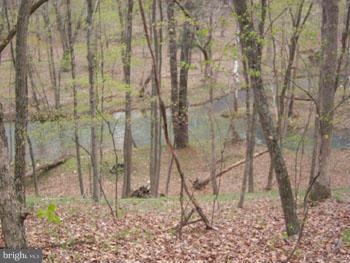 BEAVER DAM WOODS - Residential