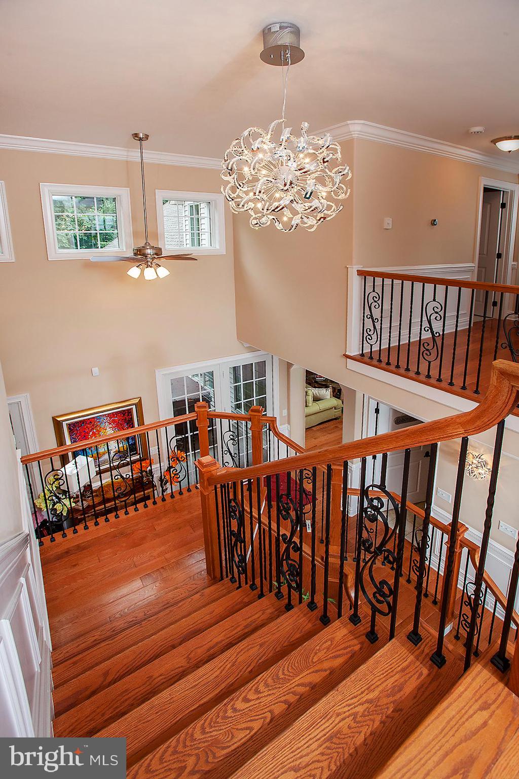 FOREST HILLS - Residential