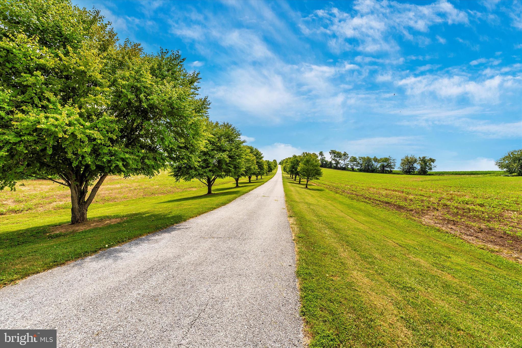 MT AIRY ESTATES - Residential