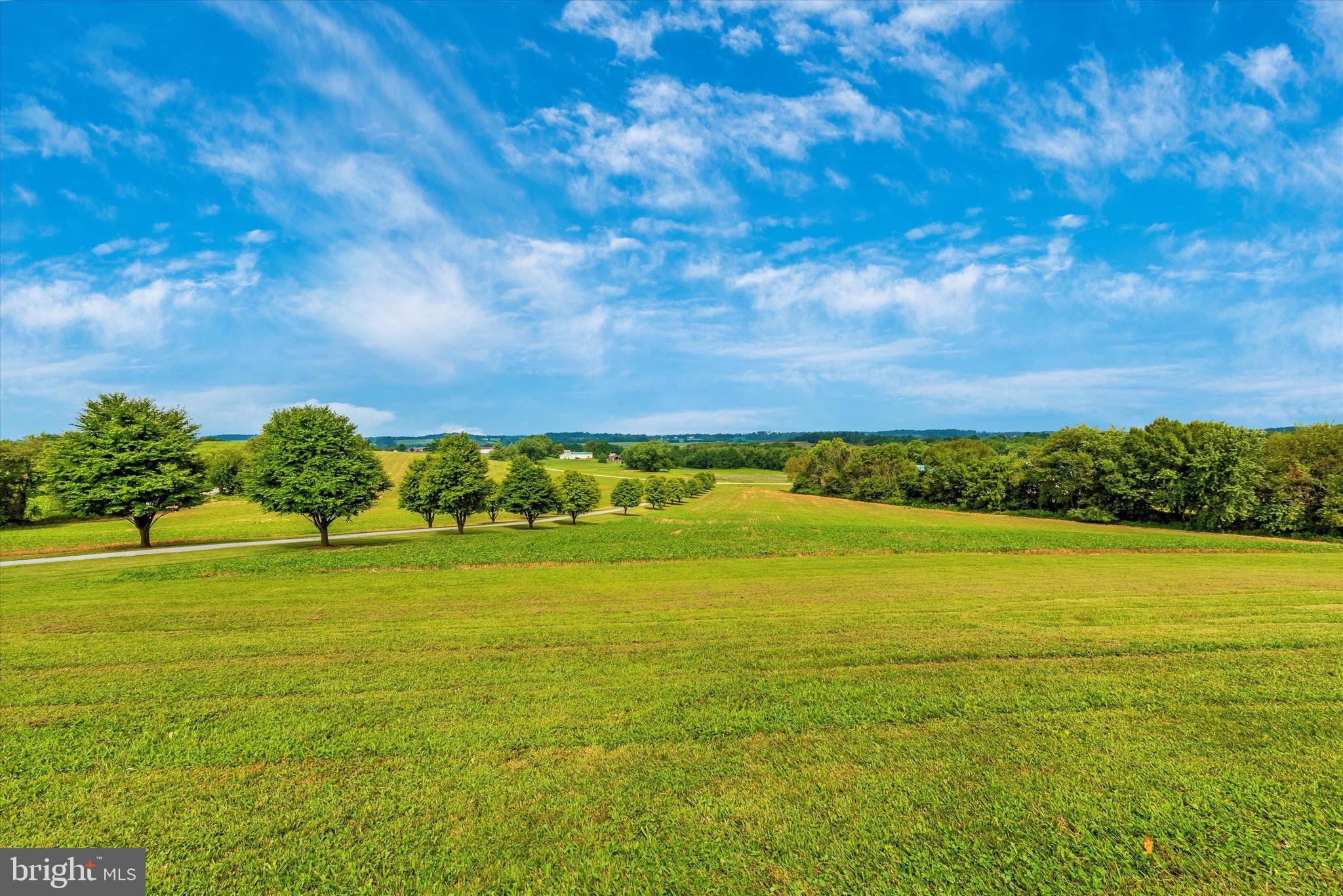 MT AIRY ESTATES - Residential