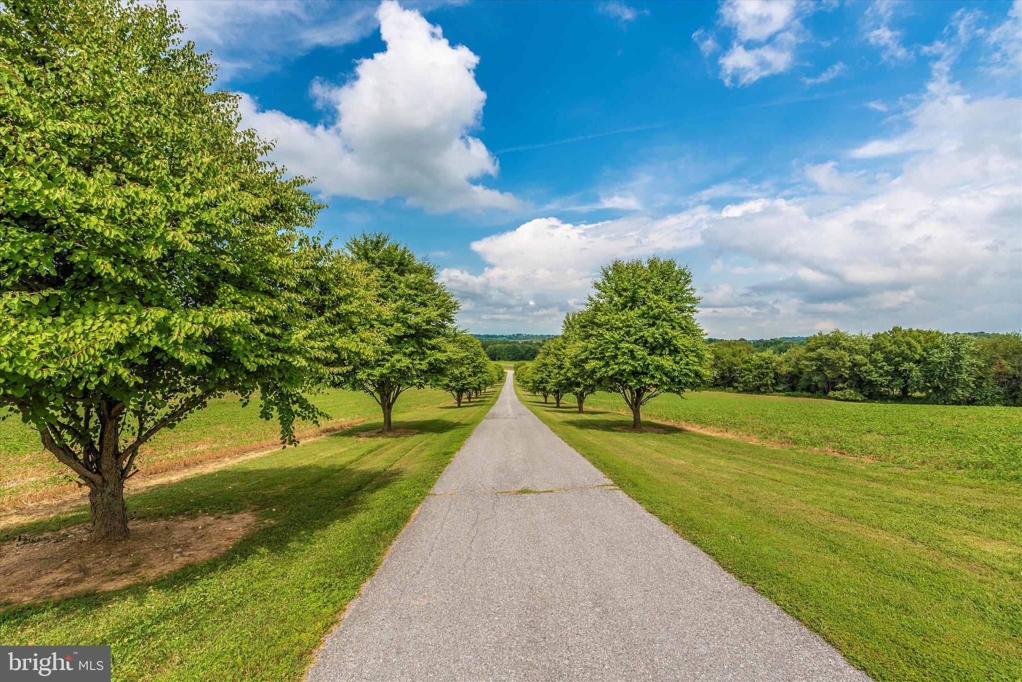 MT AIRY ESTATES - Residential