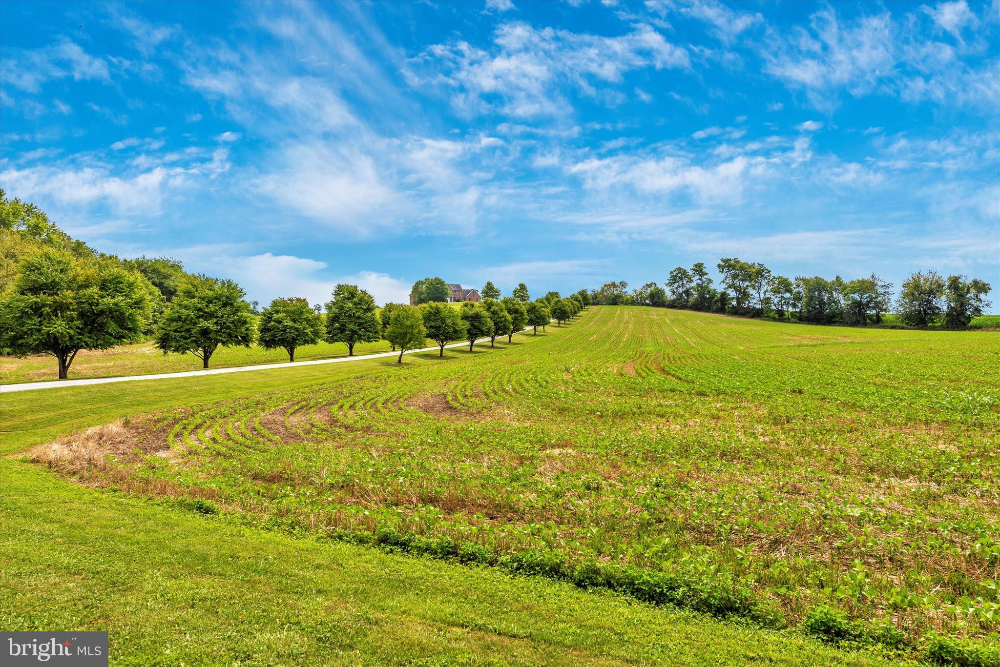 MT AIRY ESTATES - Residential