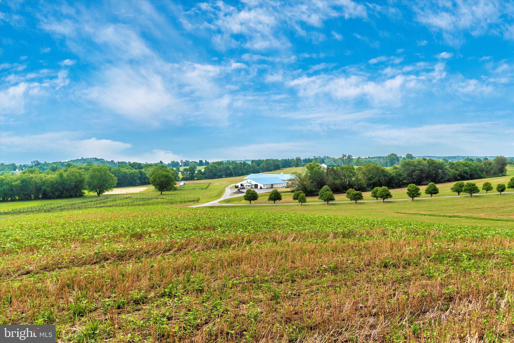 MT AIRY ESTATES - Residential