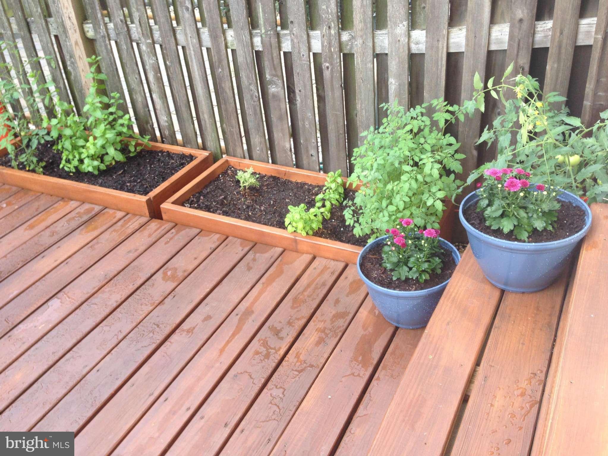 SOUTH KINGS STATION - Residential