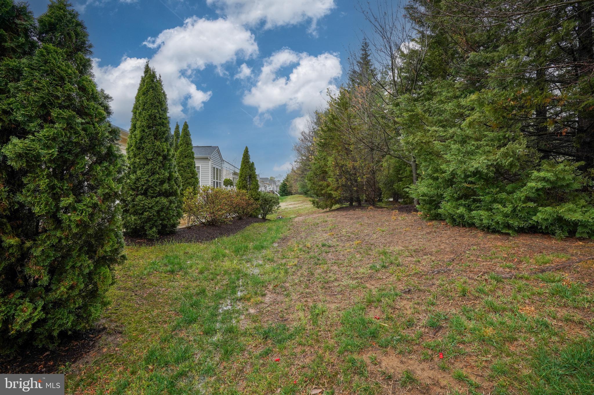 CELEBRATE VIRGINIA NORTH - Residential