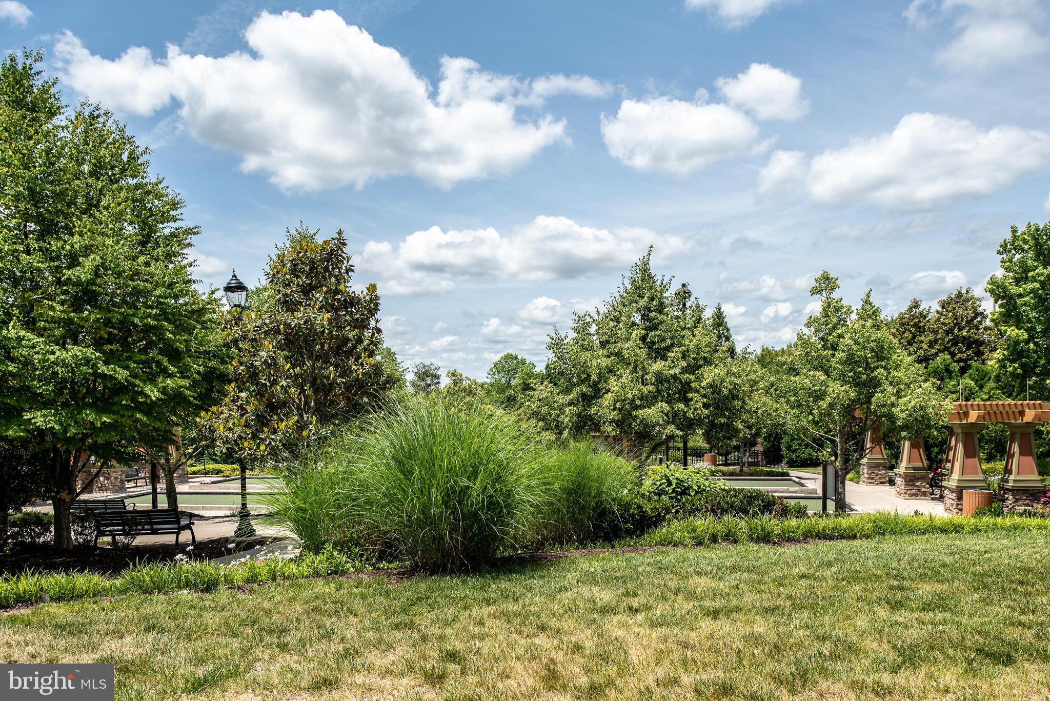 CELEBRATE VIRGINIA NORTH - Residential