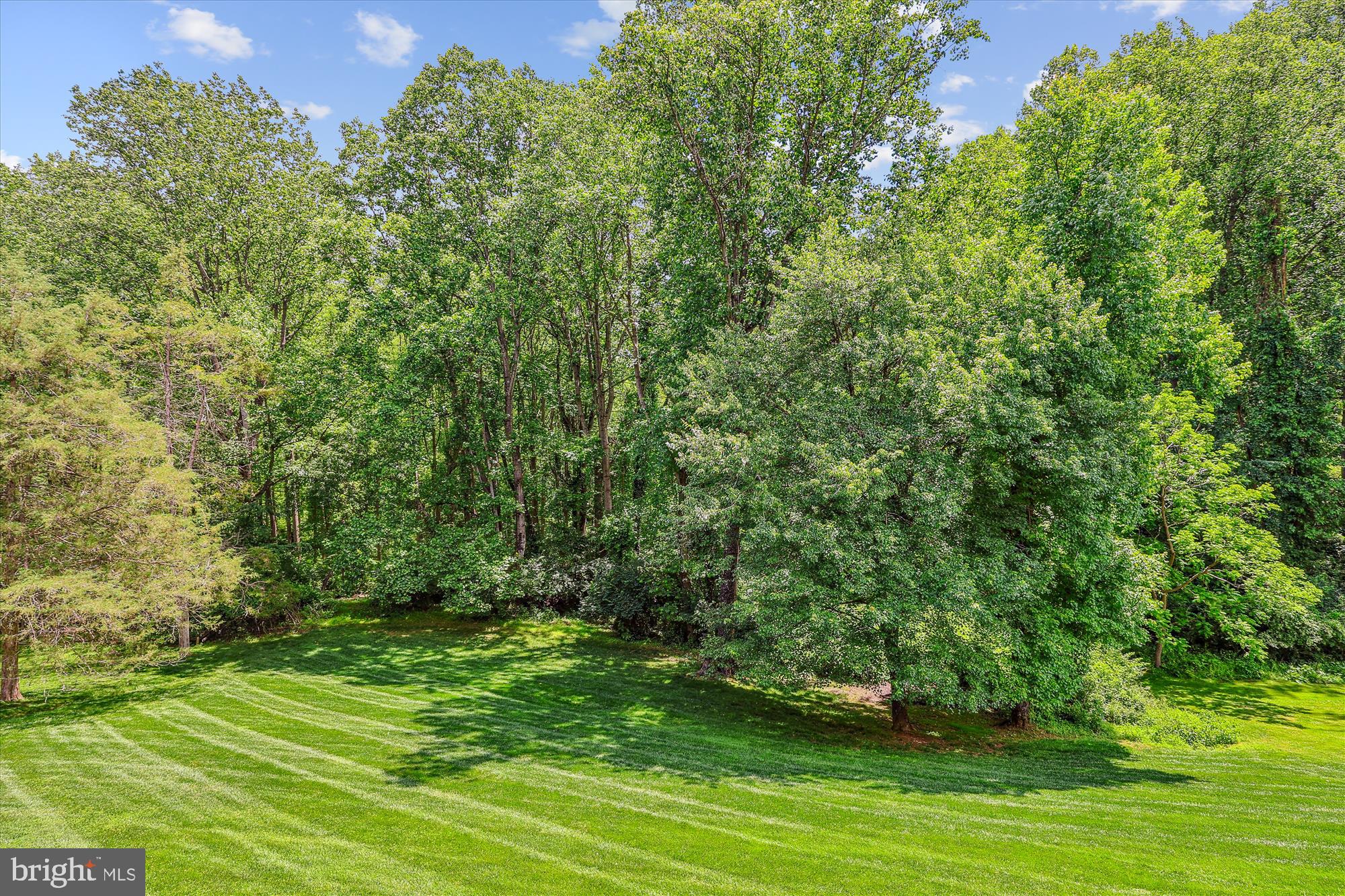 HUNTER MILL FOREST - Residential