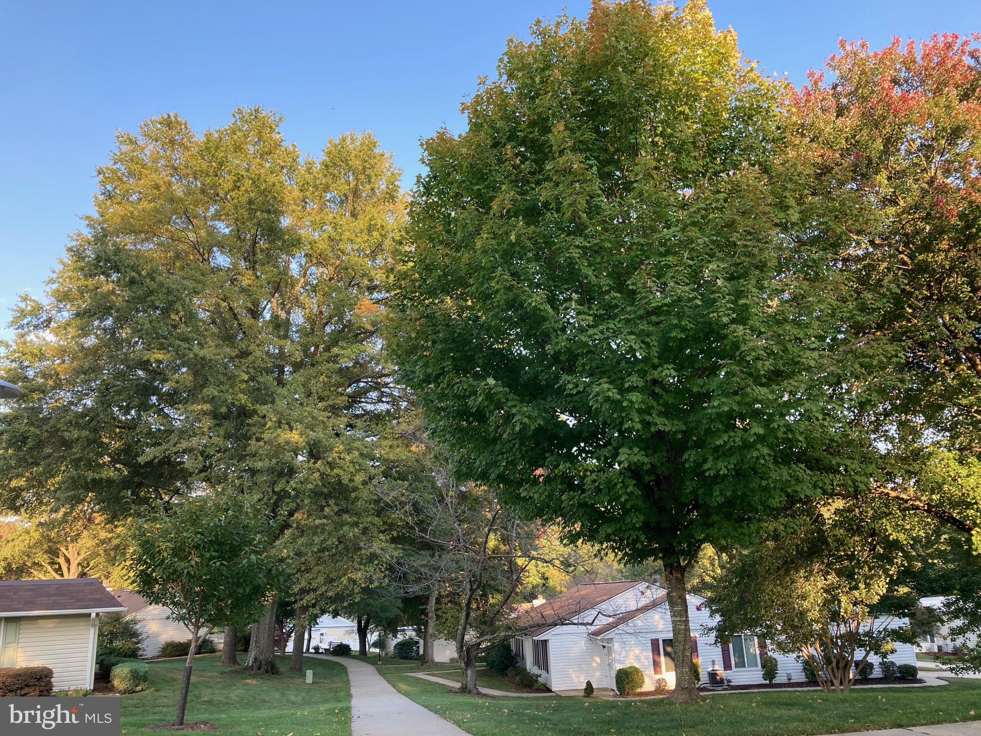 ROSSMOOR MUTUAL #10 - Residential