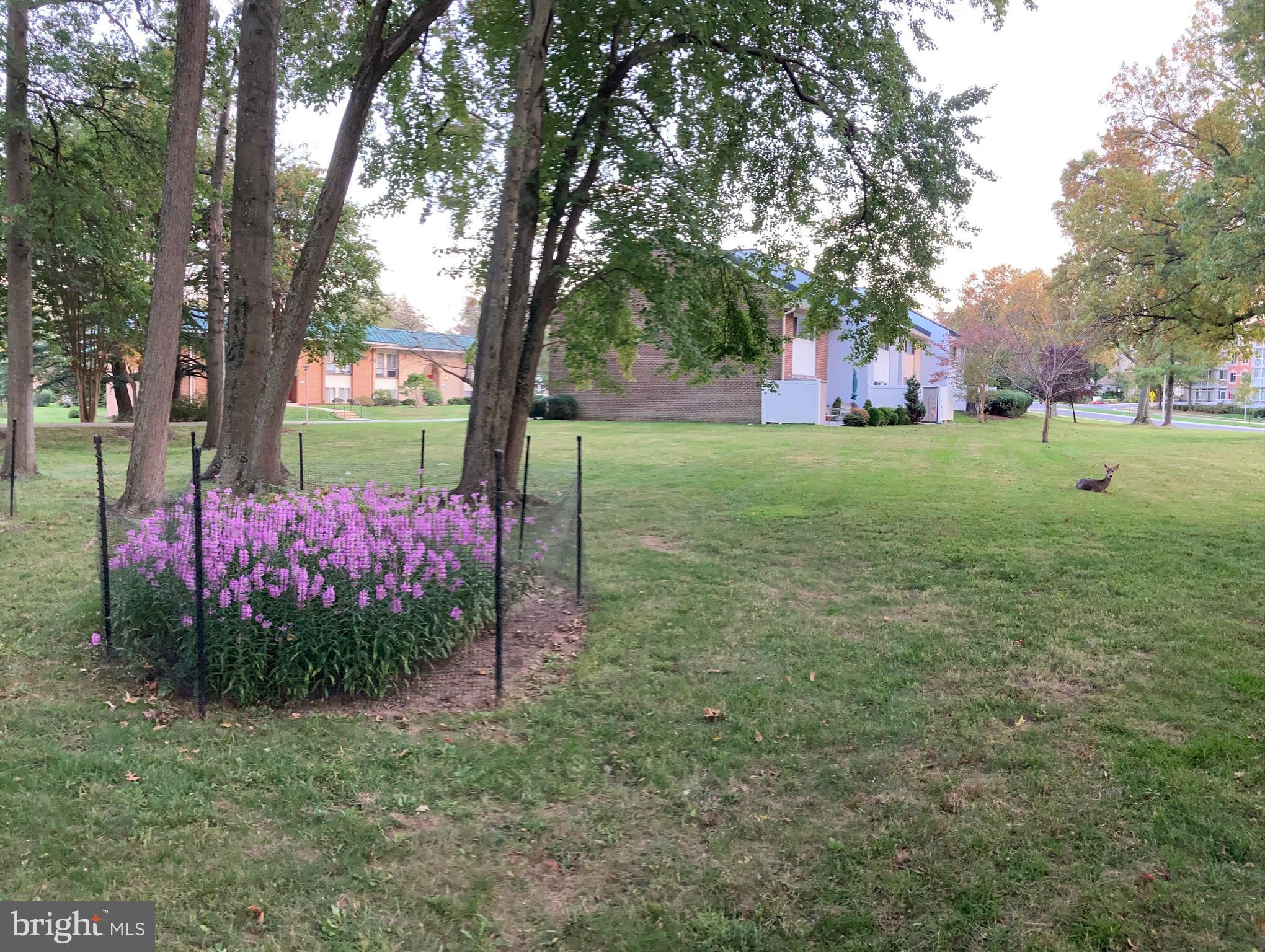 ROSSMOOR MUTUAL #10 - Residential