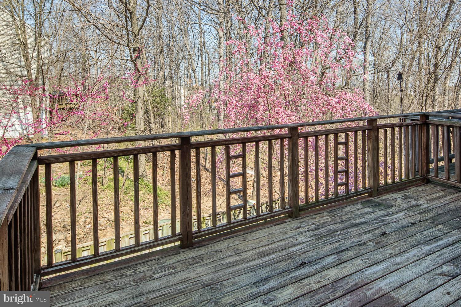 PARADISE / LANDS BAY - Residential