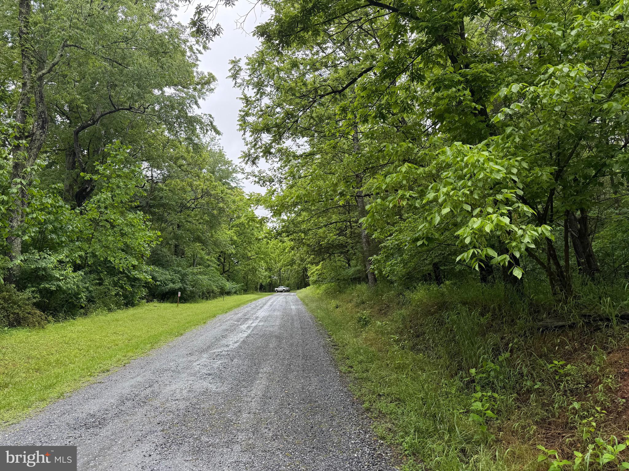 The Mays Farm Tract 3 is located on Mays Farm rd just off of 221 in Forest VA. These properties are perced for a 5 bedroom conventional with no restrictions or HOA fees. This property is maybe 2 minutes from Forest Kroger and everything the town has to offer. Would make for a wonderful place to build a dream home