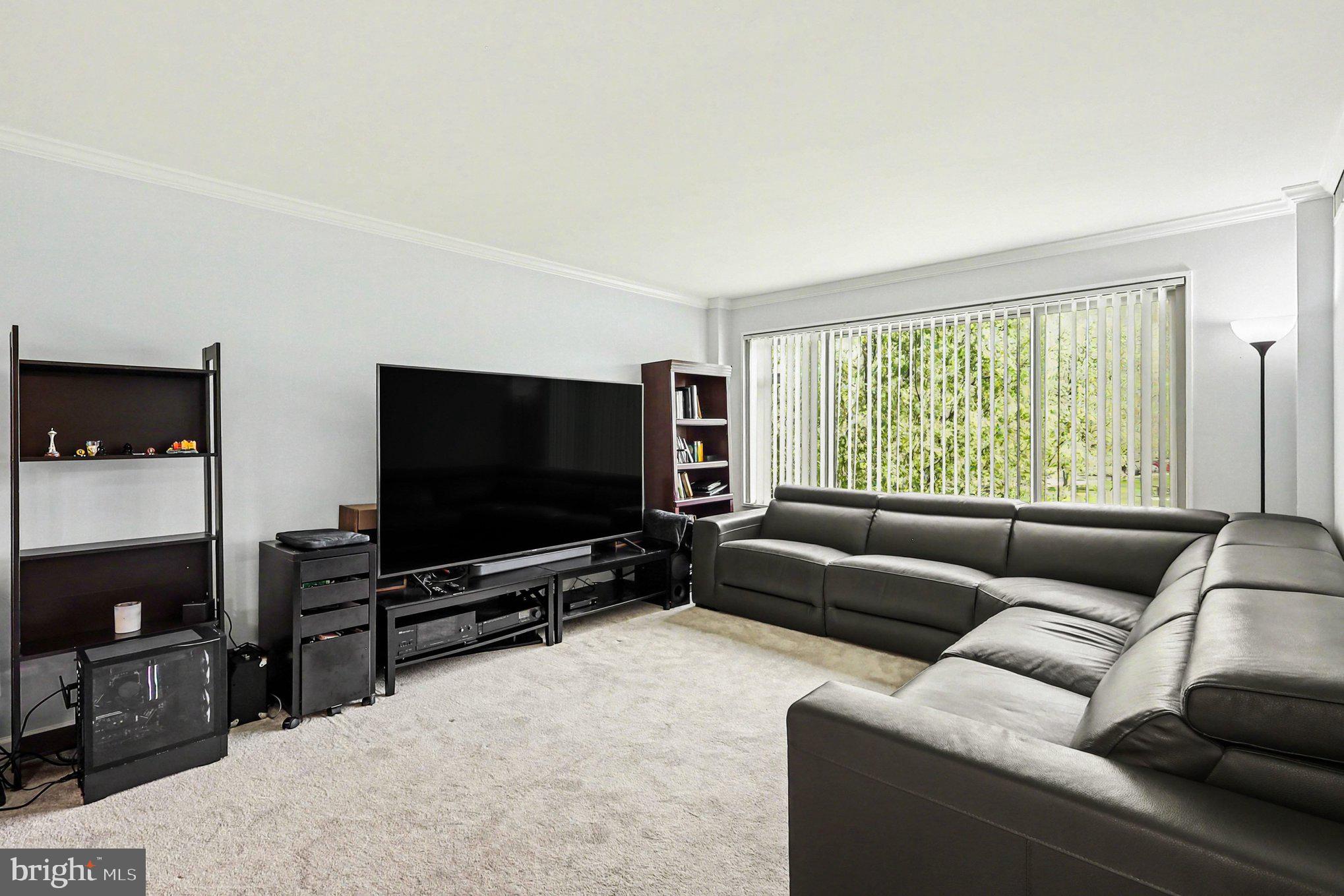 10570 MAIN STREET 203