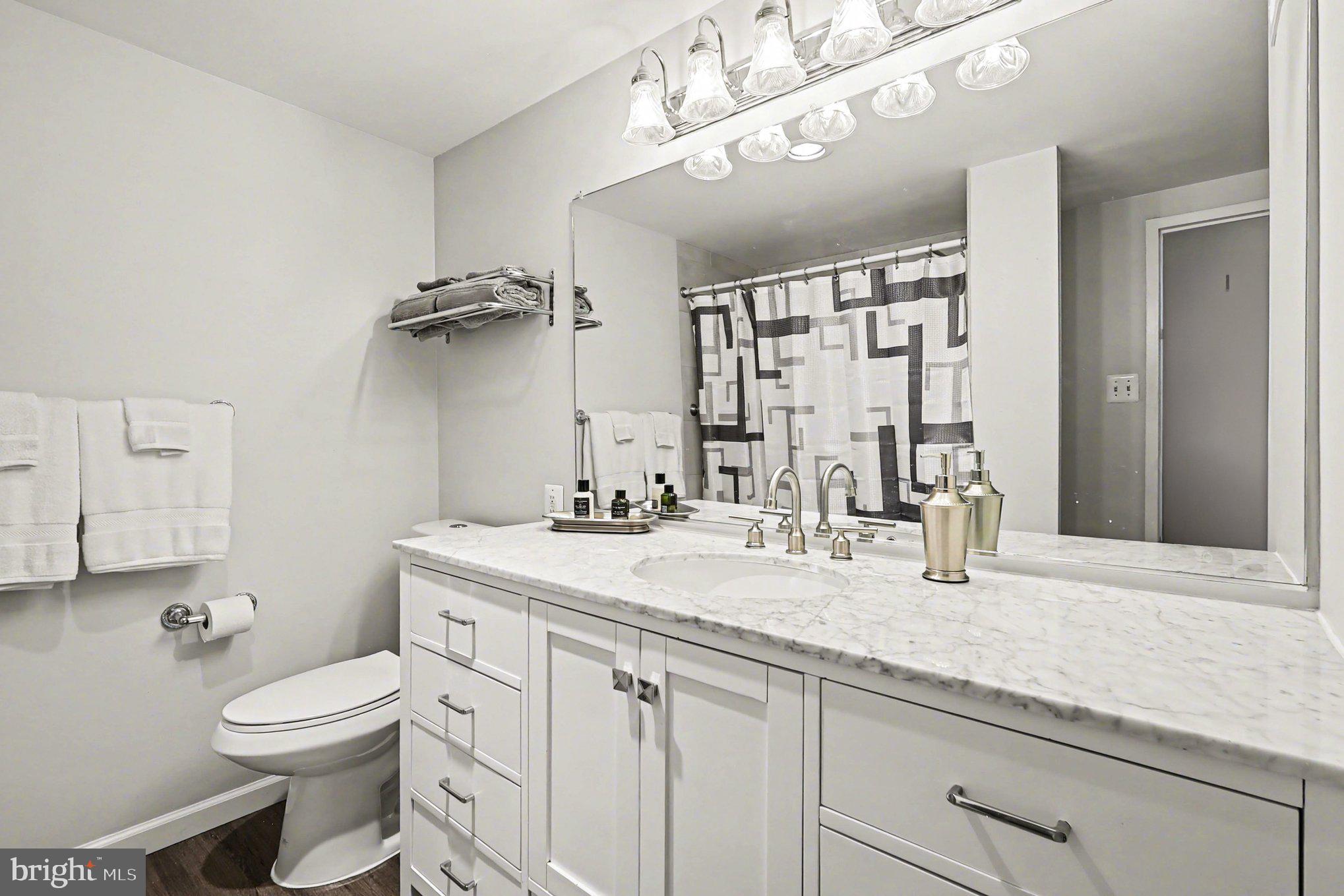 10570 MAIN STREET 203